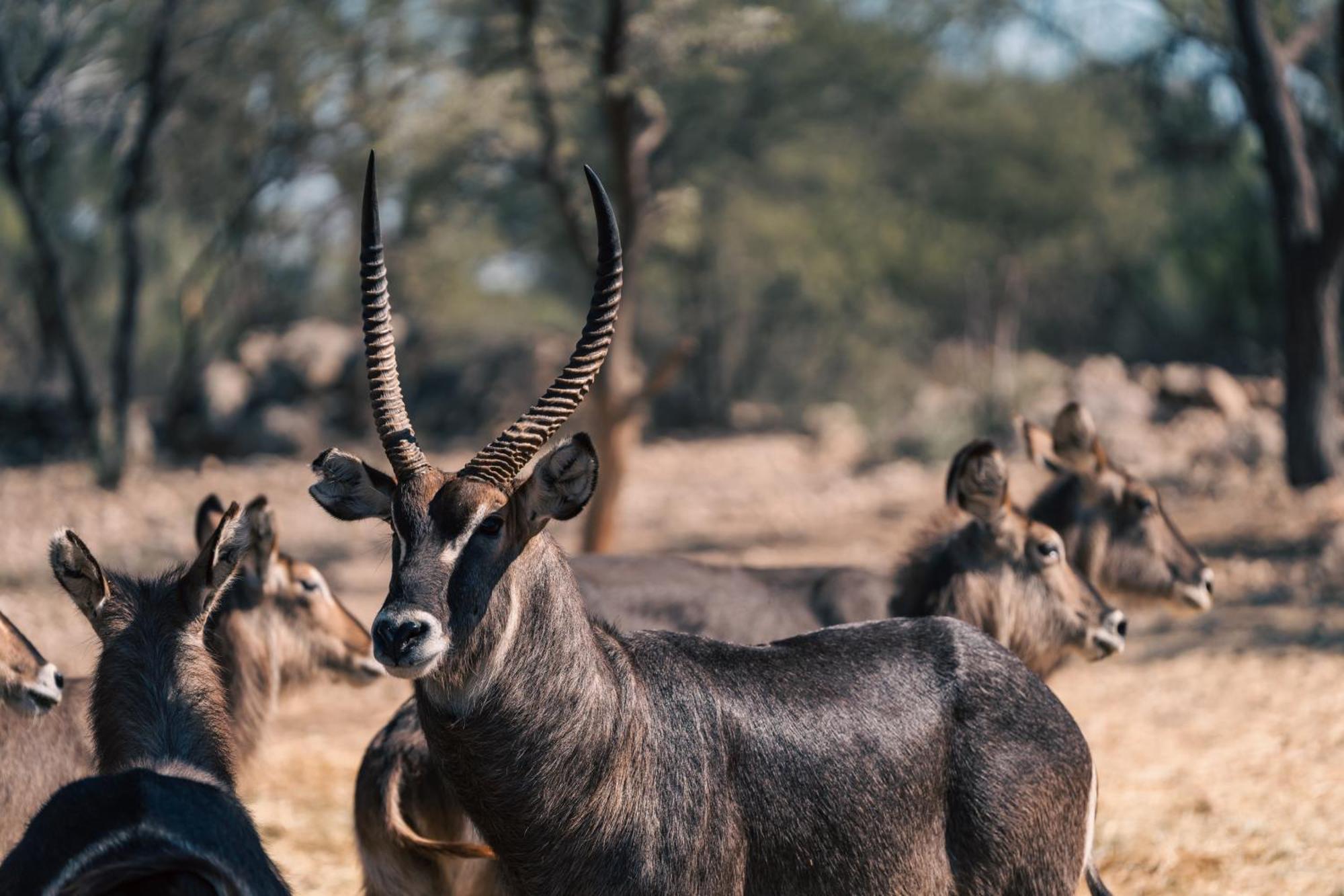 Omaruru Game Lodge Exterior photo